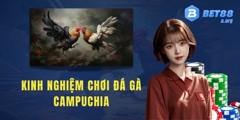 Kinh nghiệm chơi đá gà Campuchia cho các cược thủ 