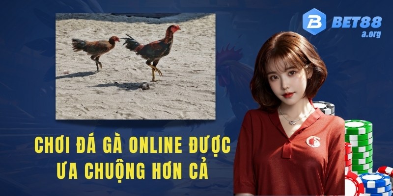 Hình thức chơi đá gà online được ưa chuộng hơn cả