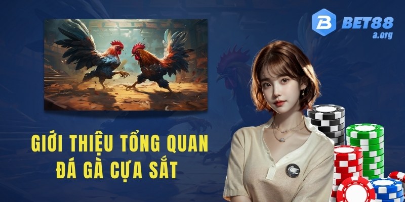 Giới thiệu tổng quan đá gà cựa sắt trên bet88