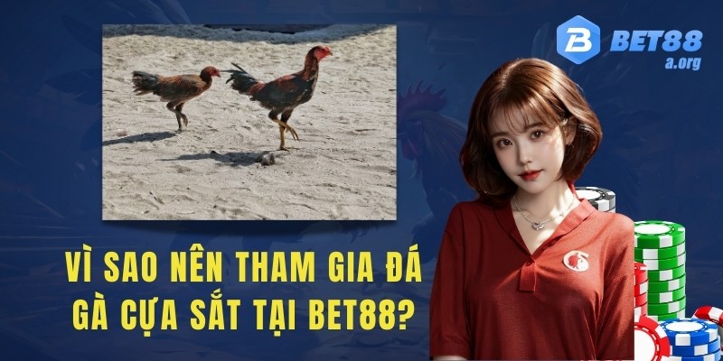 Vì sao nên tham gia đá gà cựa sắt tại Bet88?