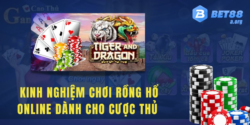 Một số kinh nghiệm chơi rồng hổ online dành cho cược thủ mới 